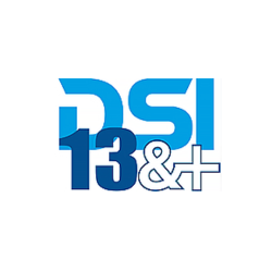 groupe DSI13